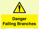 danger-falling-branches~